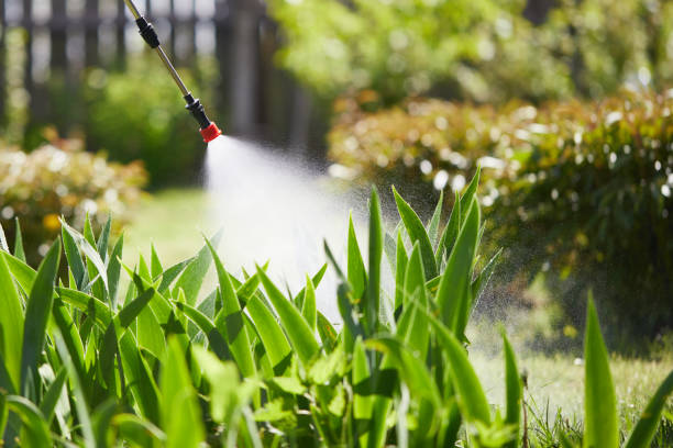 Void Injection for Cockroach Colonies in Clayton